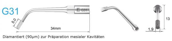 G31