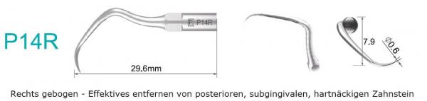 P14R Ultraschallspitze - Rechts gebogen - Entfernung von posterioren, subgingivalem, hartnäckigen Za