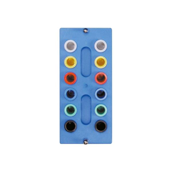 Autoklavierbarer Endo-Organizer mit 12 Endo-Röhrchen